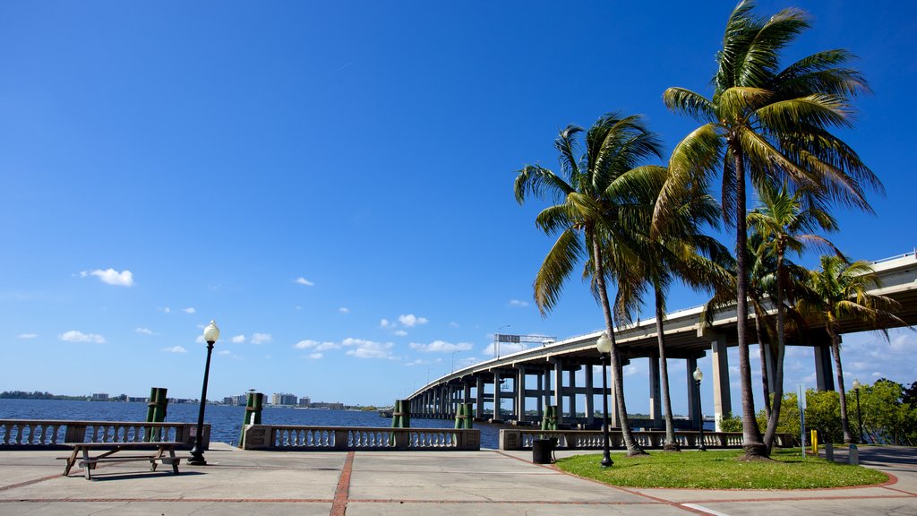 Centennial Park which includes tropical scenes and a garden