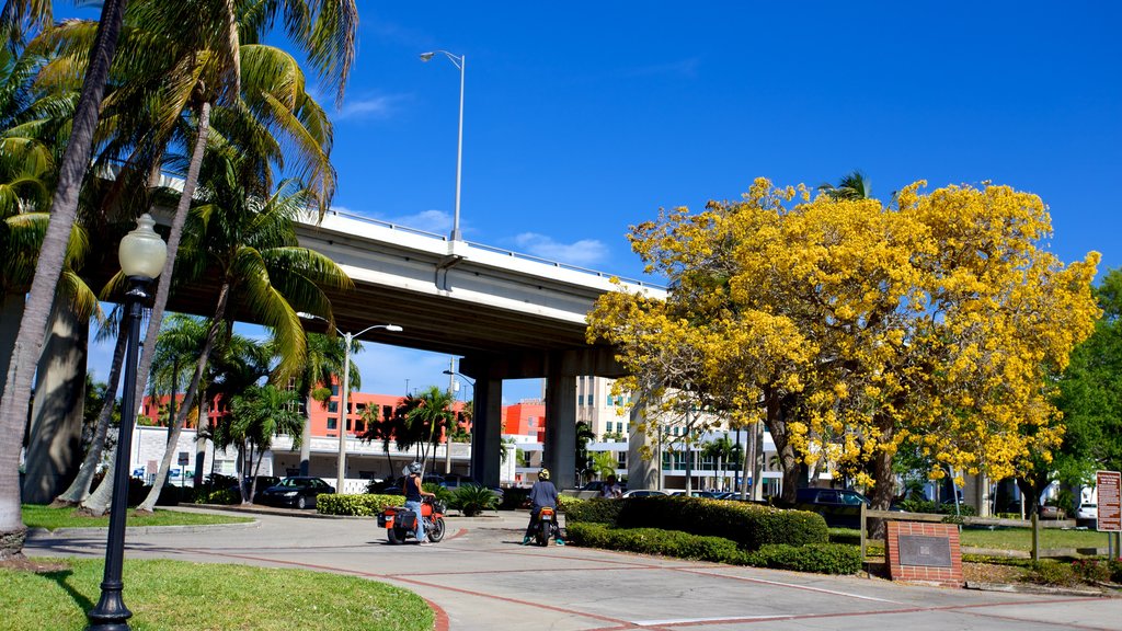 Centennial Park showing a park