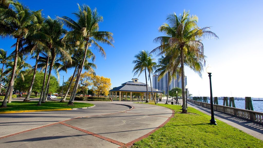 Centennial Park que inclui cenas tropicais e um parque