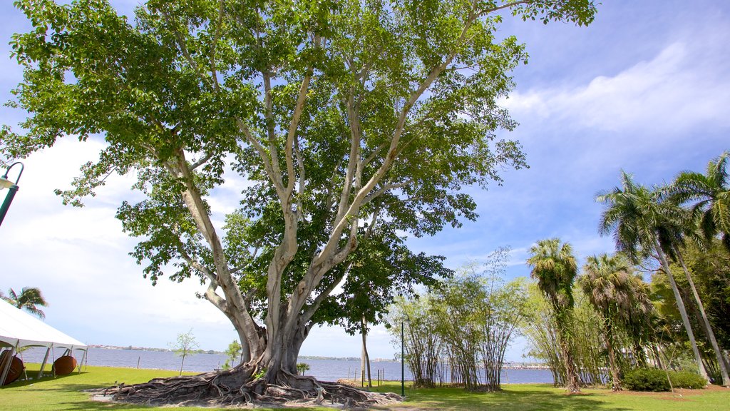 Edison and Ford Winter Estates featuring a garden