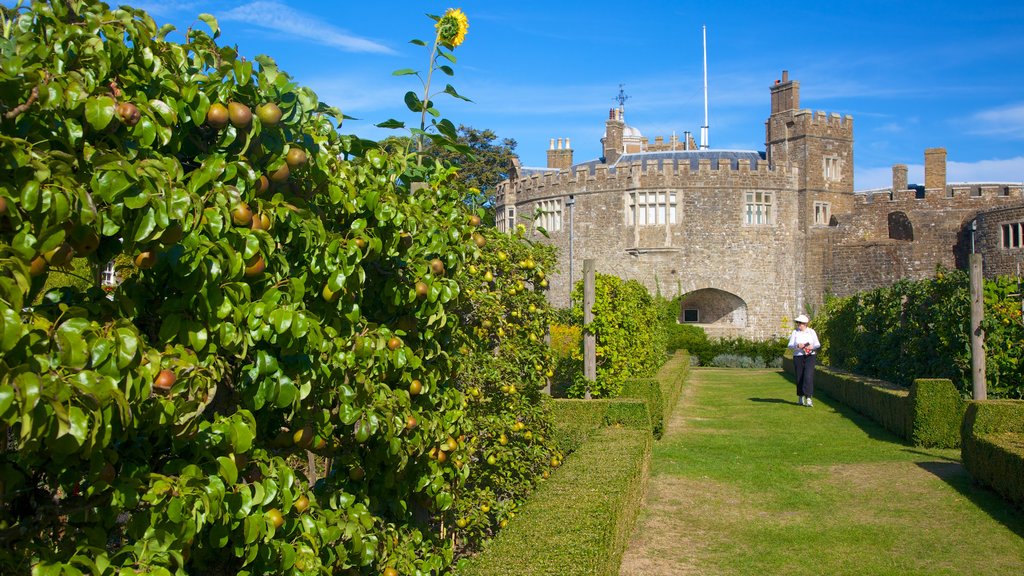 Walmer Castle and Gardens mostrando um pequeno castelo ou palácio e um jardim