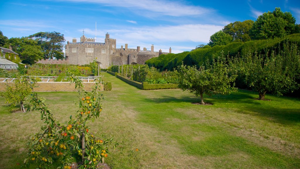 Castillo y jardines de Walmer ofreciendo un parque