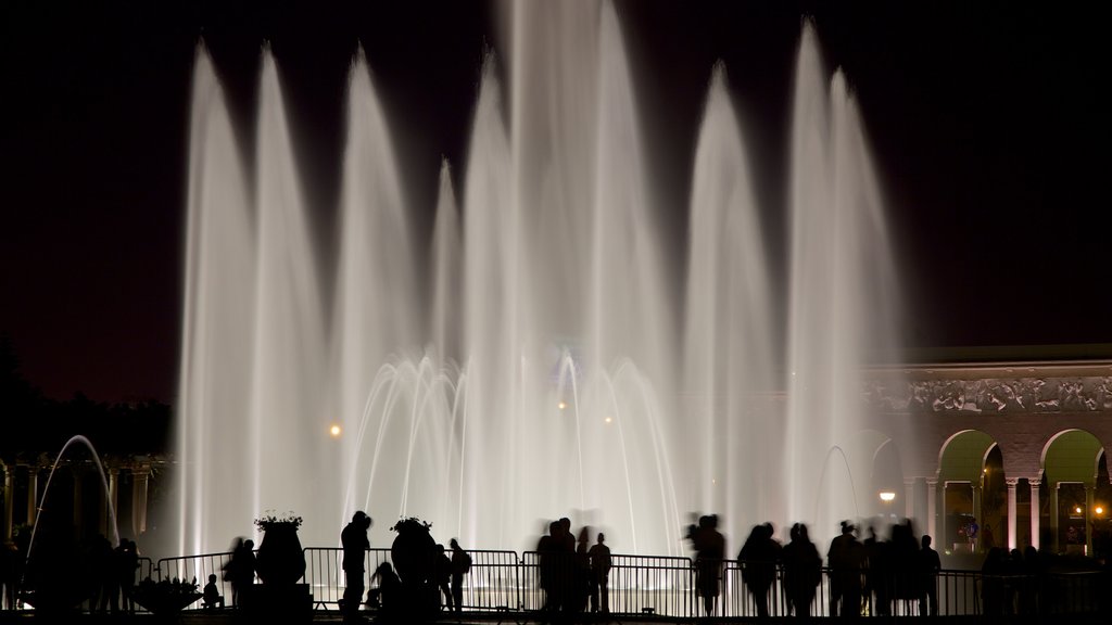 Exposition Park showing night scenes and a fountain as well as a large group of people