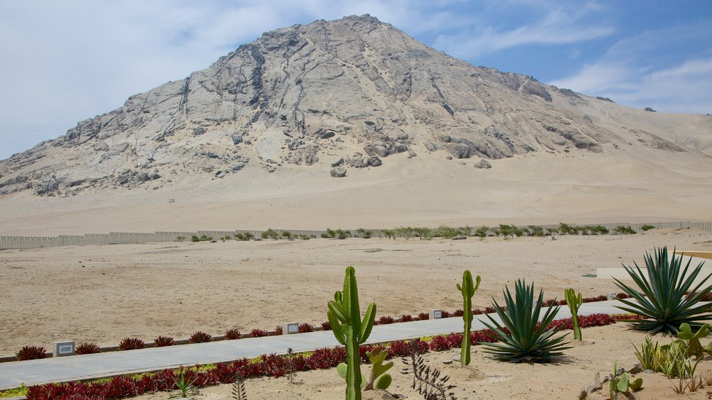 Huaca de la Luna que incluye vistas de paisajes, montañas y vistas al desierto