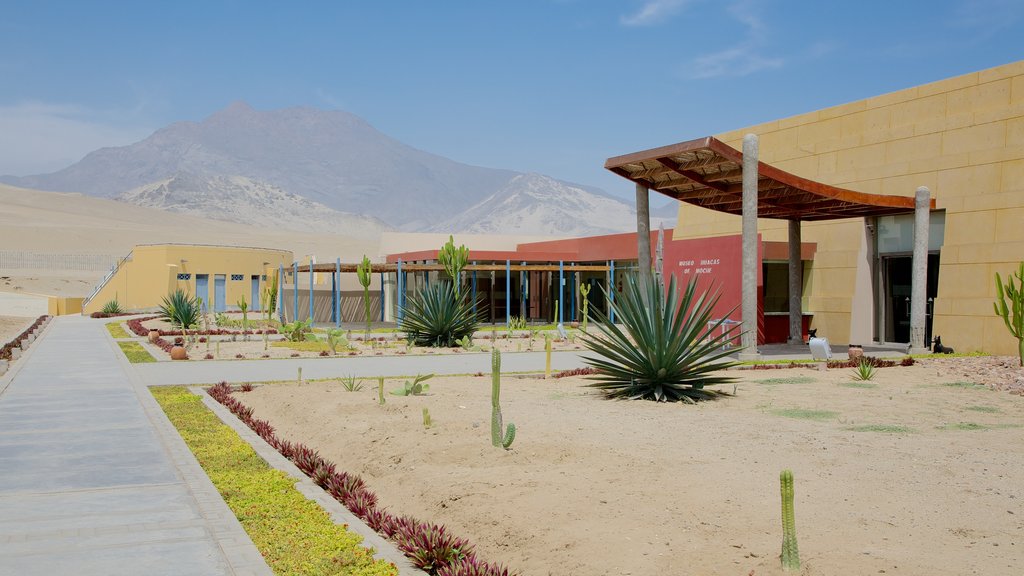 Huaca de la Luna montrant scènes de rue