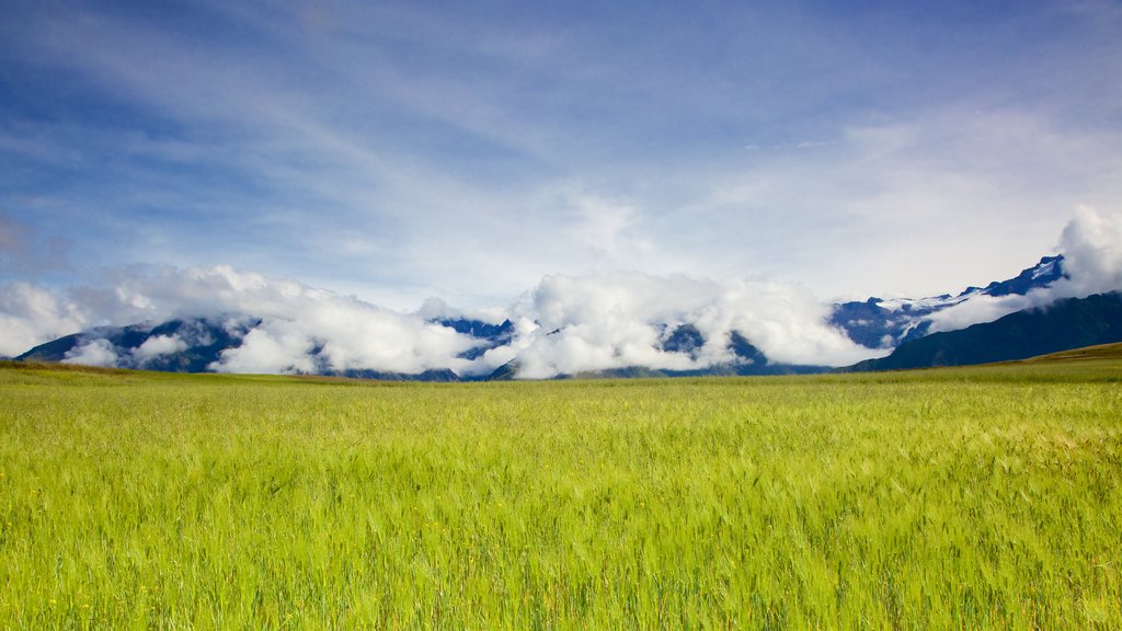 Cusco showing tranquil scenes and landscape views