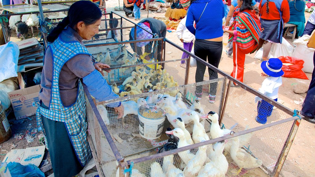 Urubamba que incluye mercados y vida de las aves y también una mujer