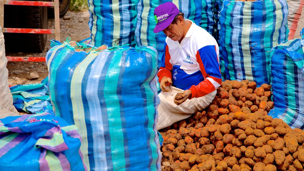 Urubamba showing markets as well as an individual male