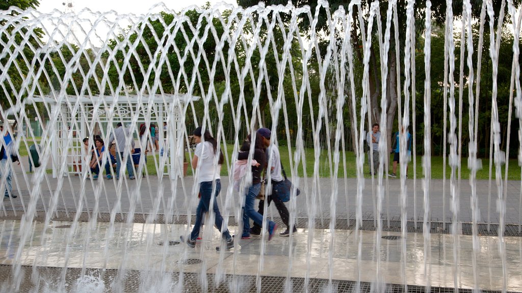 Exposition Park showing a fountain