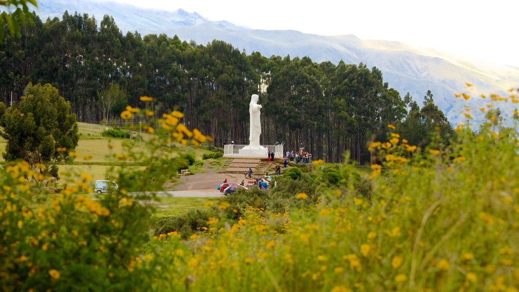 Sacsayhuamán que incluye flores