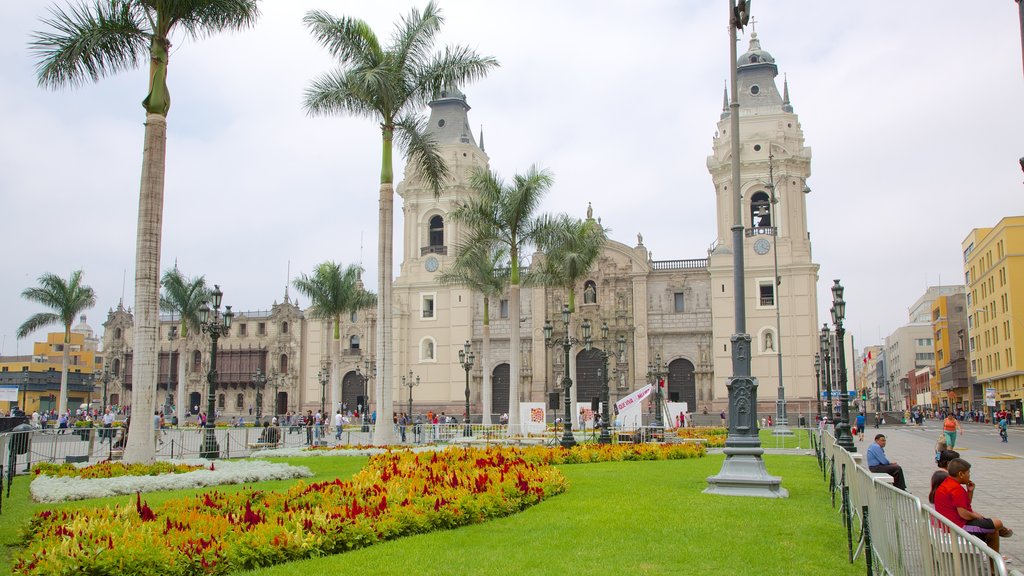 Plaza Mayor showing a park and flowers