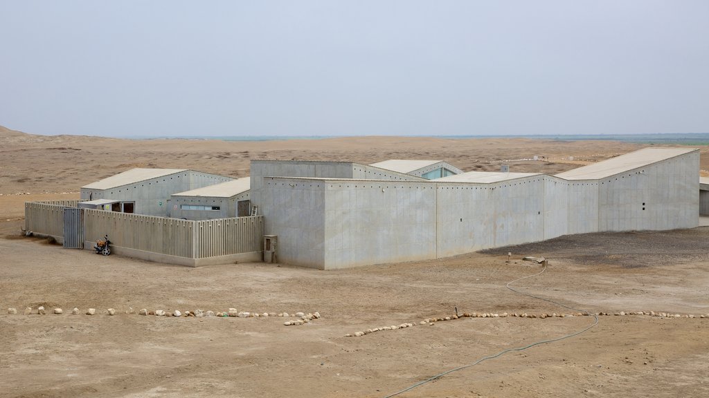 El Brujo showing desert views