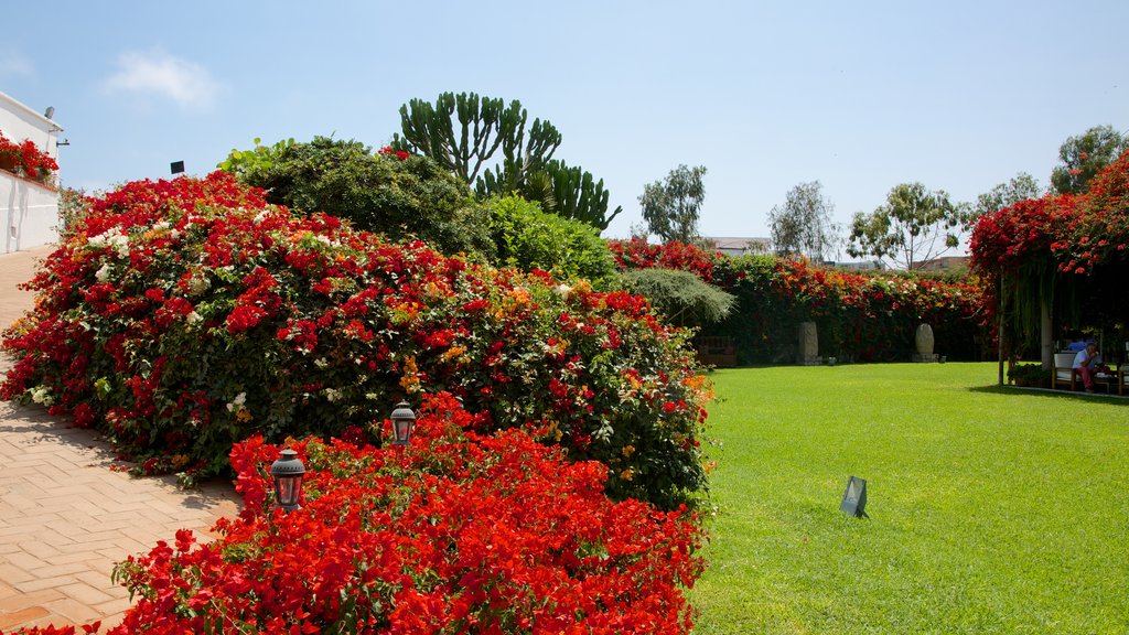 Larco Museum which includes a park and flowers