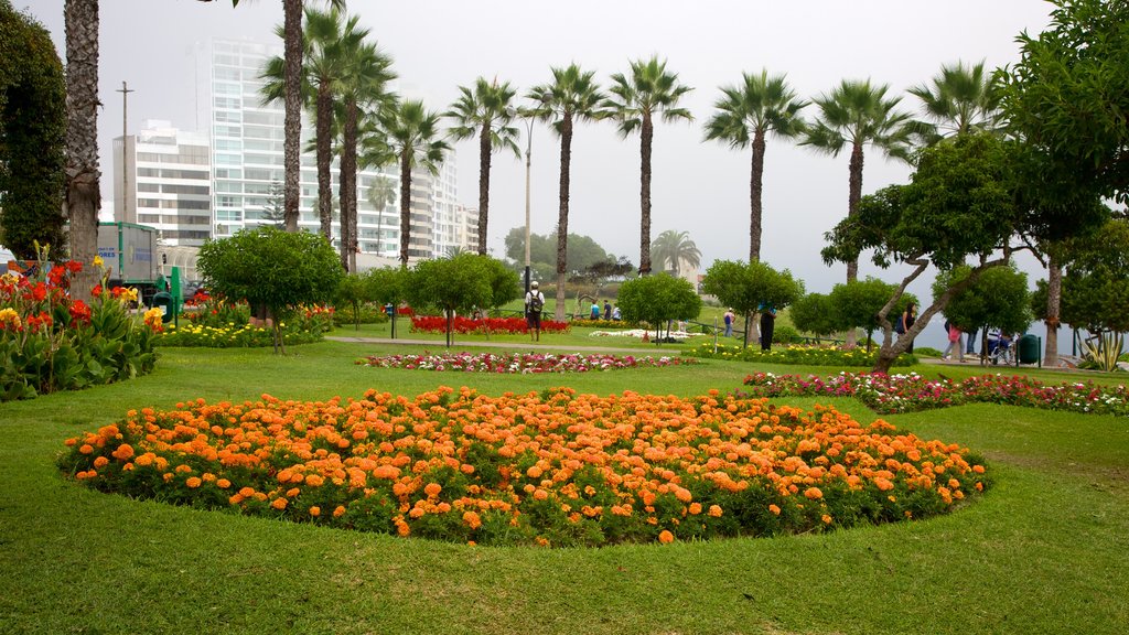 Parque del Amor featuring flowers and a garden