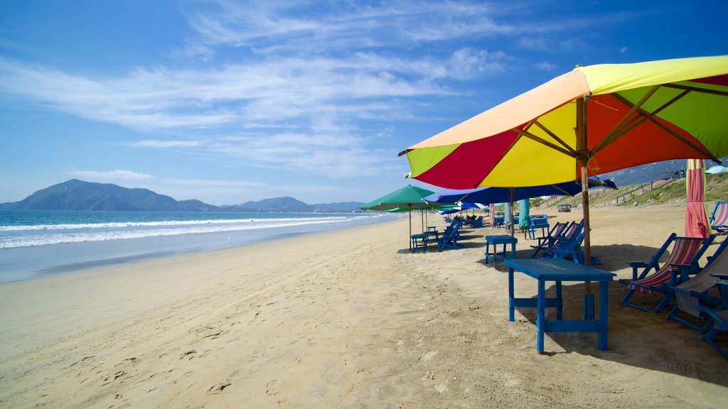 Manzanillo showing a sandy beach