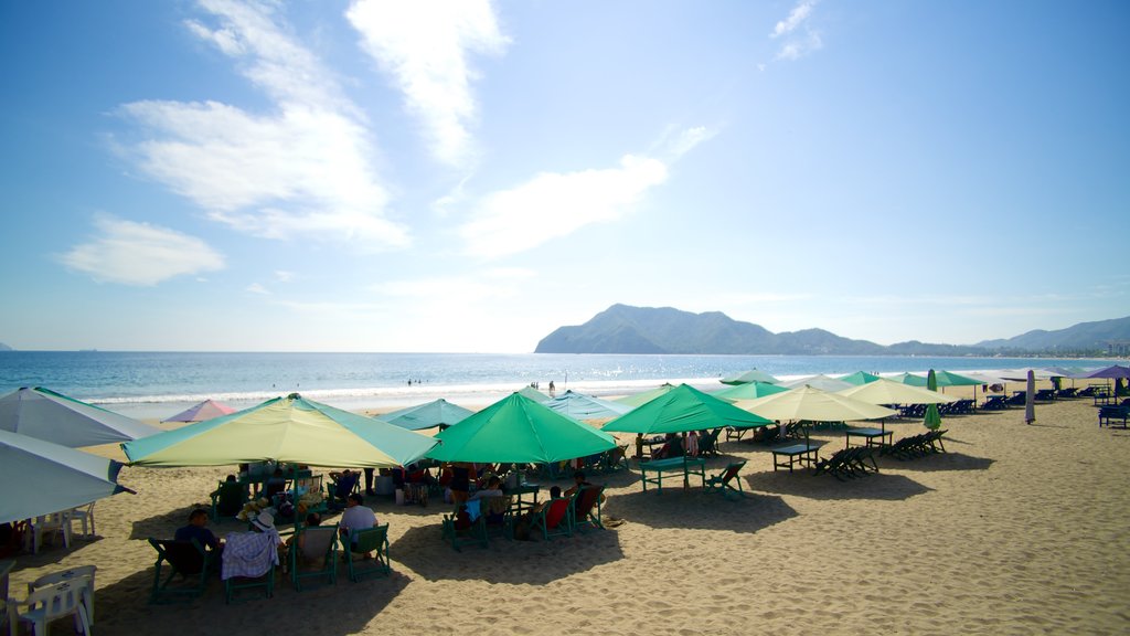 Playa Miramar que inclui uma praia e paisagens litorâneas