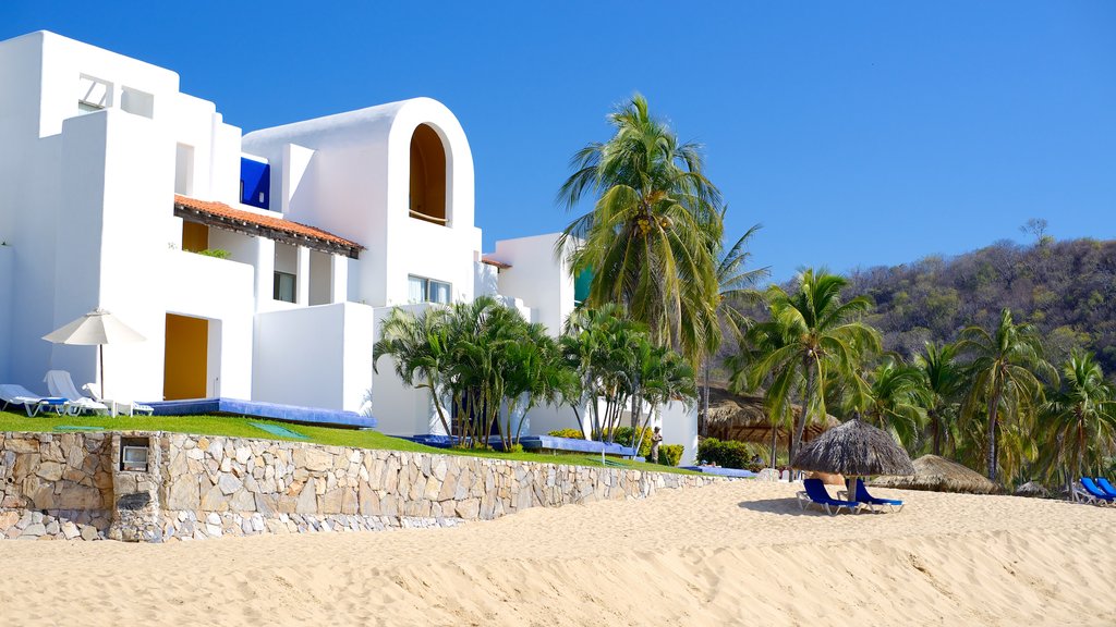 Zaachila Beach showing tropical scenes, a beach and a hotel