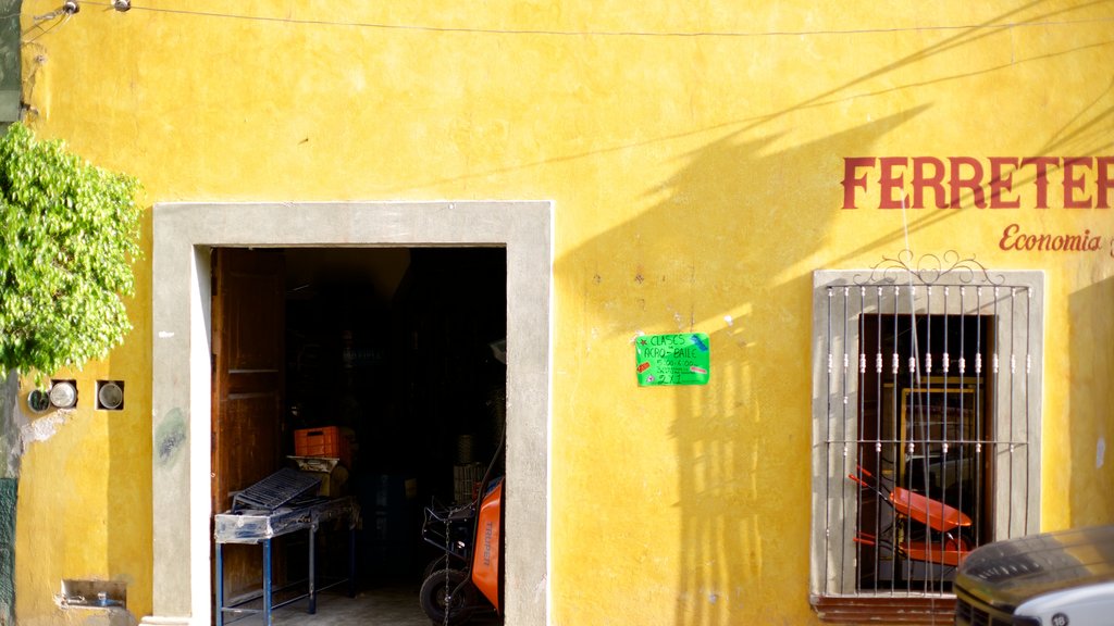 Jalpan de Serra showing street scenes and a house