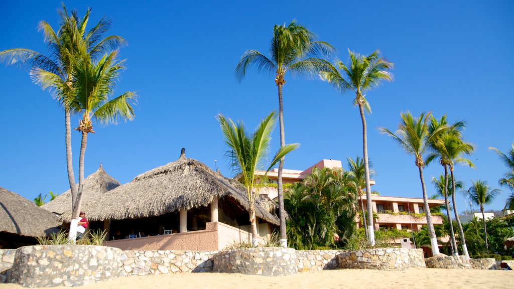 Playa Zaachila mettant en vedette vues littorales, scènes tropicales et hôtel ou complexe de luxe