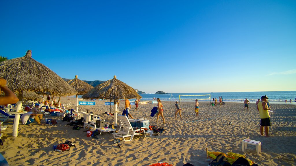 Playa de El Palmar mostrando vistas generales de la costa, un hotel o resort de lujo y una playa