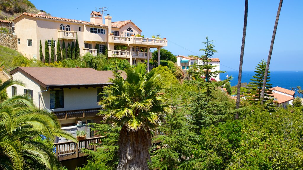 Catalina Island which includes a coastal town, tropical scenes and a house