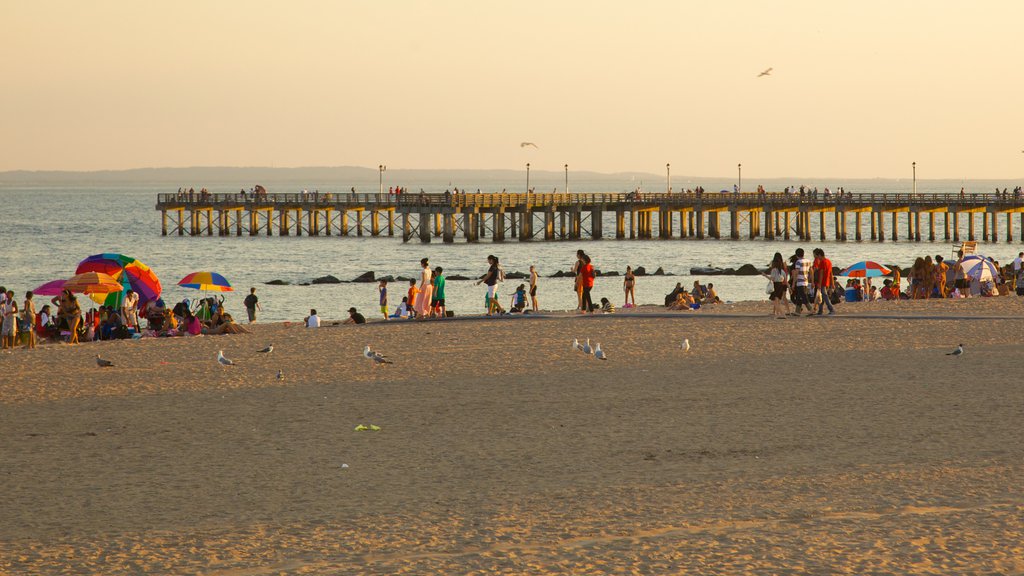 Coney Island showing a sandy beach as well as a large group of people