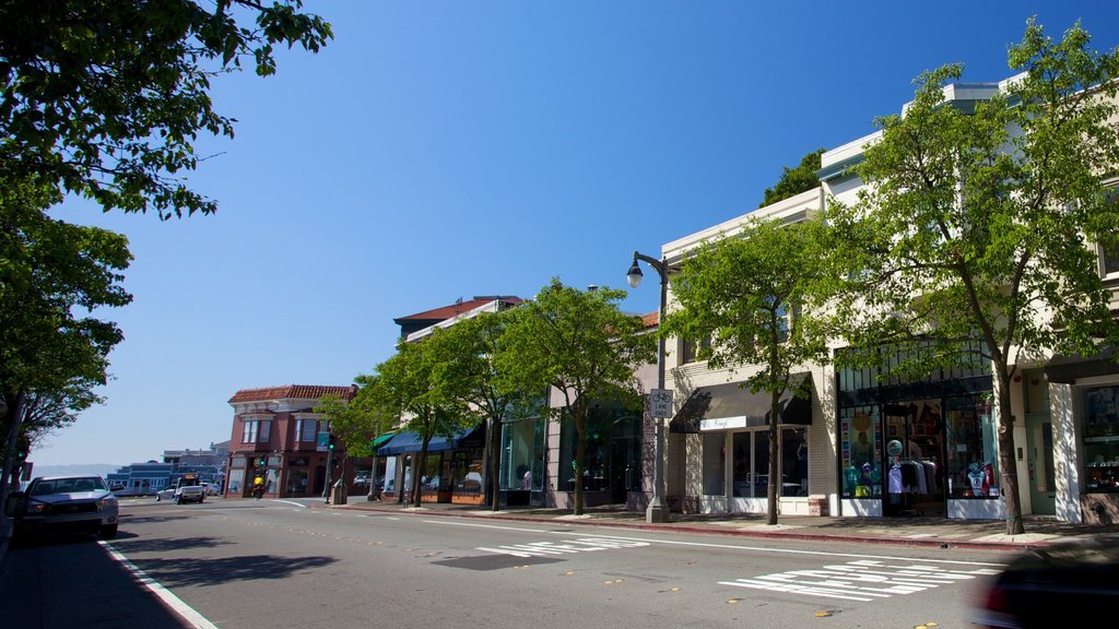 Marin County showing street scenes