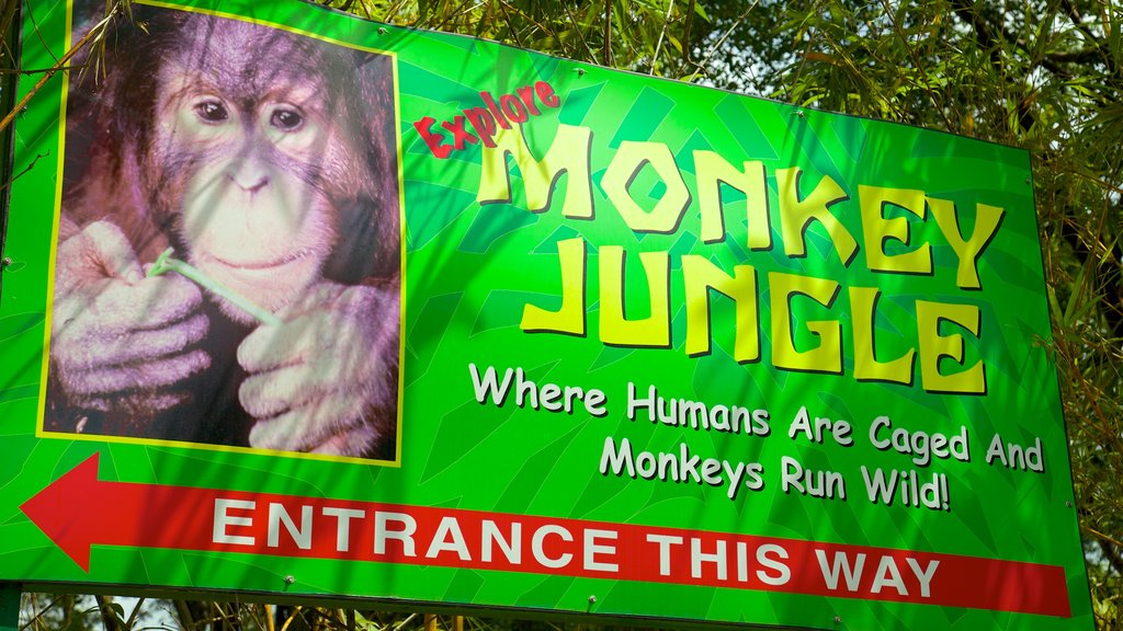 Monkey Jungle featuring zoo animals and signage