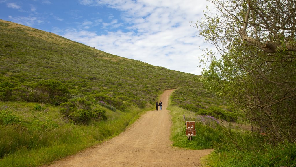 San Francisco som visar stillsam natur