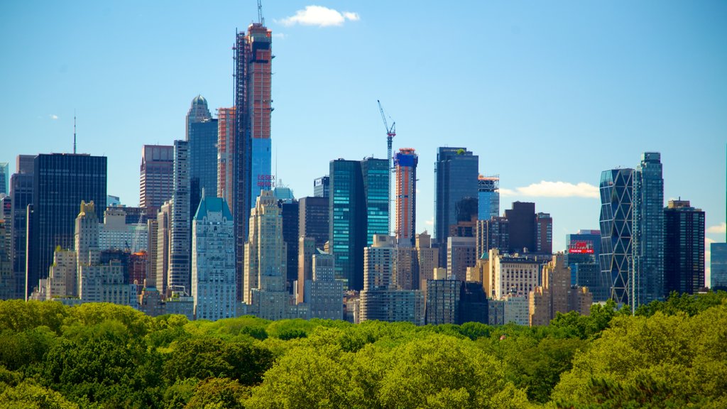 Metropolitan Museum of Art showing a city, a high-rise building and skyline