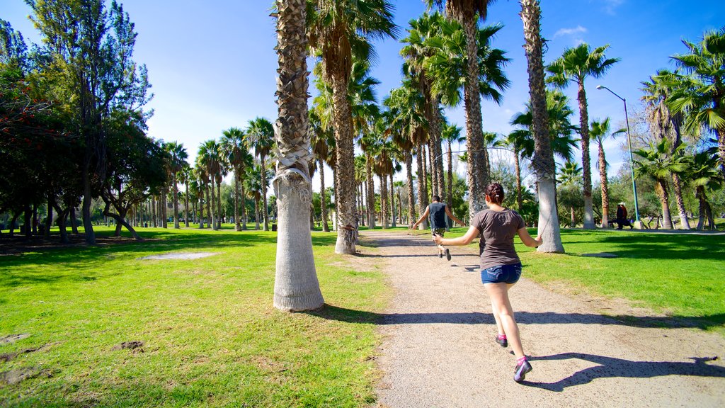 Parque Morelos featuring a garden as well as a small group of people