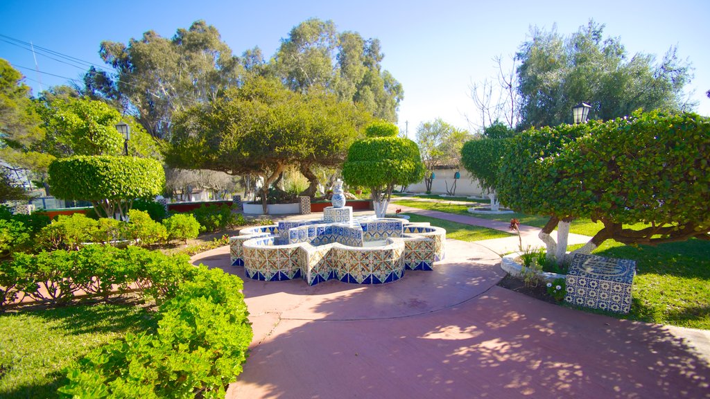 Ensenada featuring a park