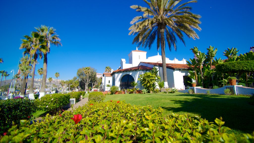 Ensenada ofreciendo jardín