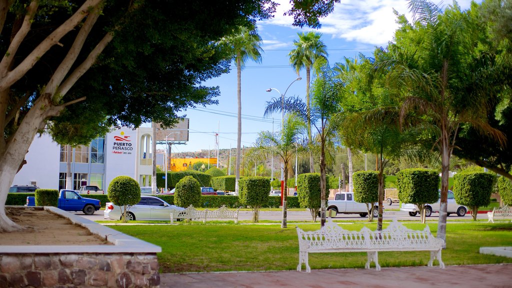 Puerto Penasco joka esittää puutarha