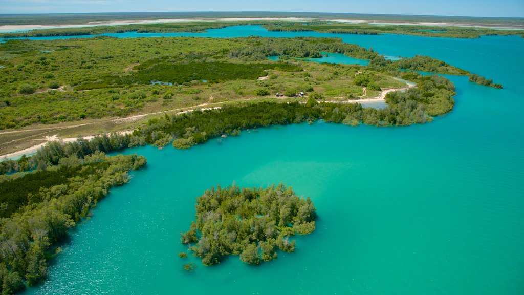 Broome showing landscape views and general coastal views