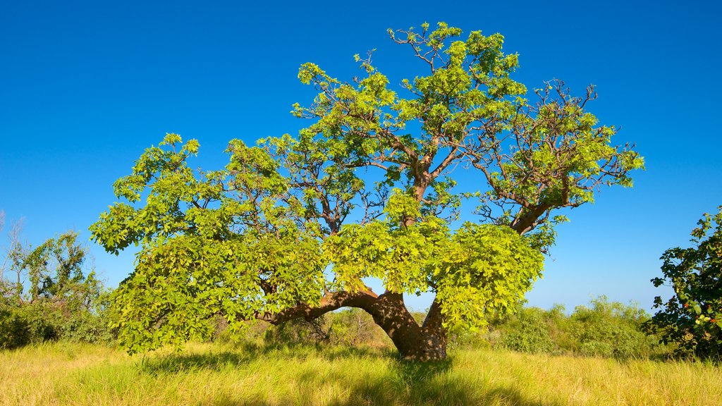 Gantheaume Point inclusief landschappen en vredige uitzichten