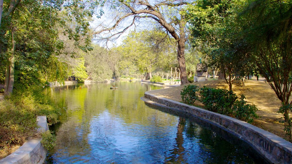 Lodhi Garden showing a pond and a garden