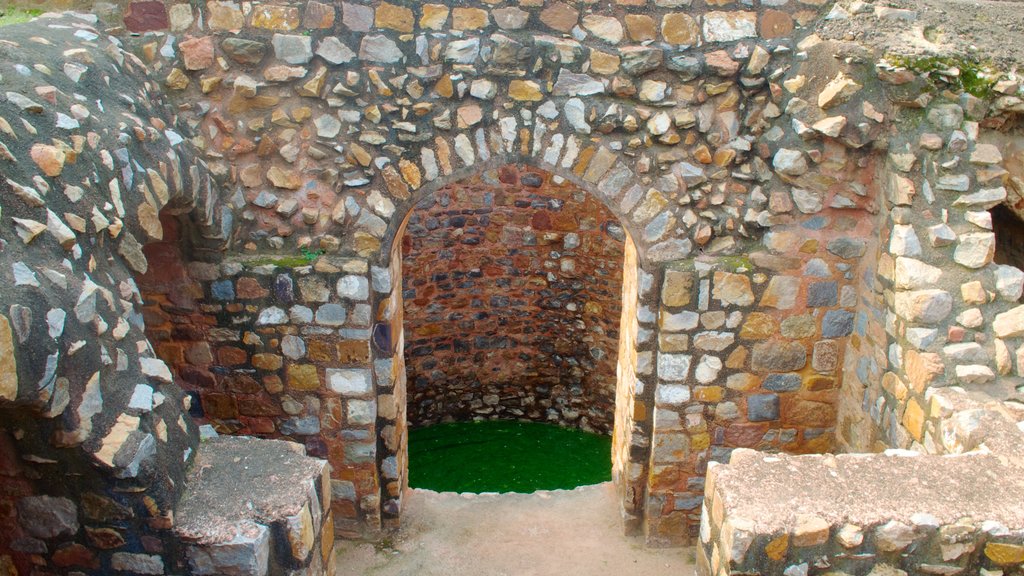 Tombe de Humayun mettant en vedette architecture patrimoniale, éléments du patrimoine et un monument commémoratif