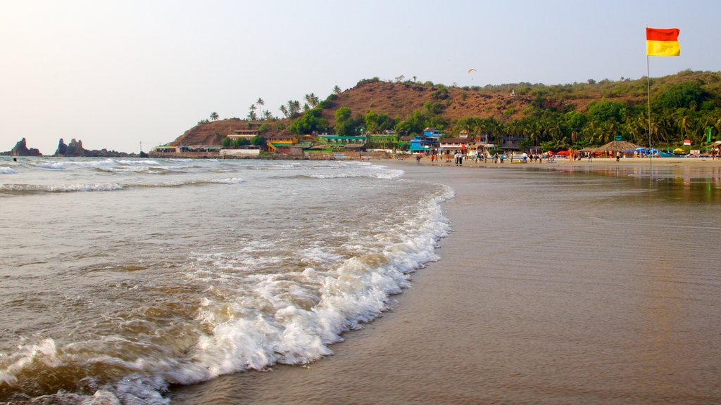 Arambol Beach featuring a sandy beach and a coastal town