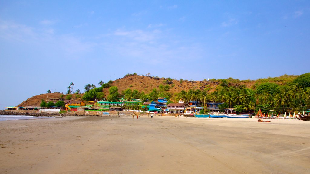 Praia de Arambol que inclui paisagem, cenas tropicais e uma praia de areia