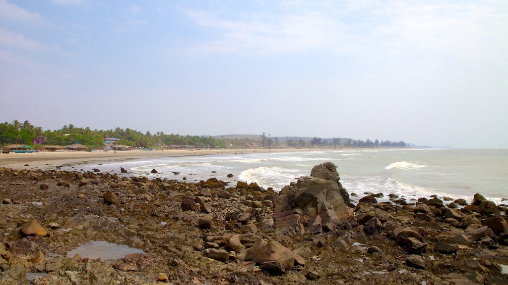 Playa de Arambol mostrando vista general a la costa y una ciudad costera