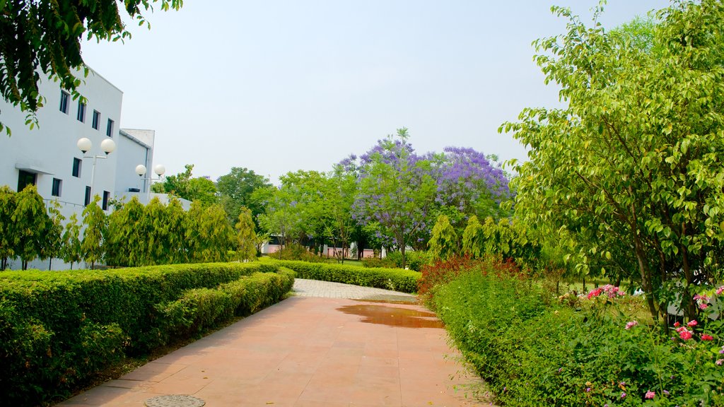 Ciudad de la Ciencia de Pushpa Gujral ofreciendo un parque y una ciudad