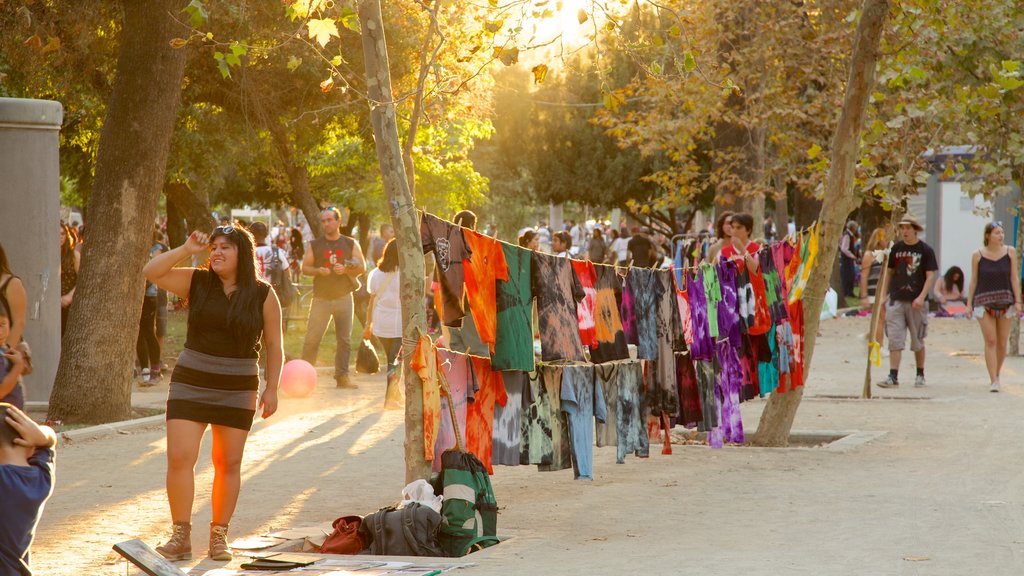 Parque Forestal mostrando jardín y también un gran grupo de personas