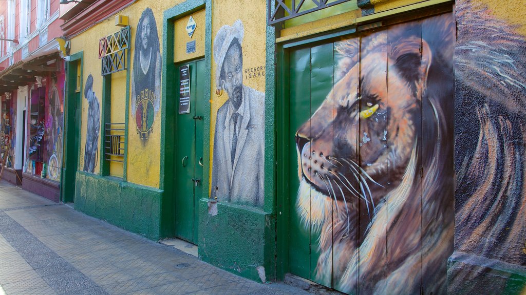 Bellavista mostrando arte al aire libre y imágenes de calles