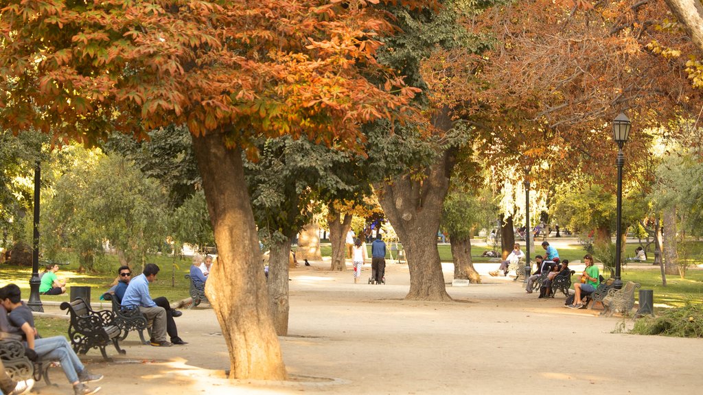 Parc forestier montrant un parc, paysages et feuilles d’automne