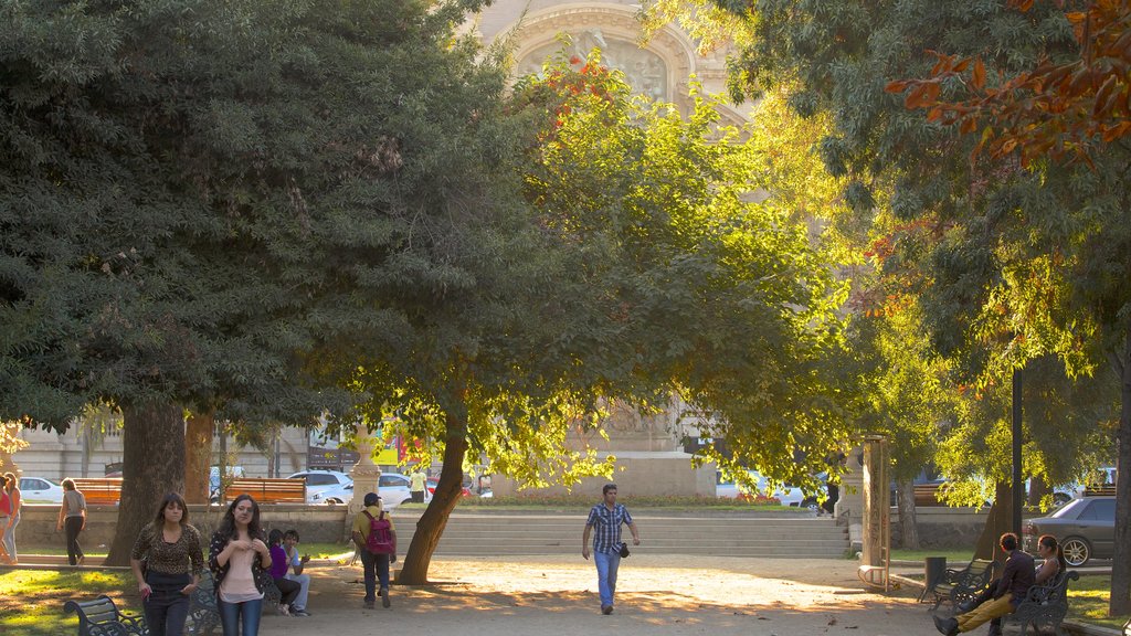 Parc forestier montrant un jardin et une ville