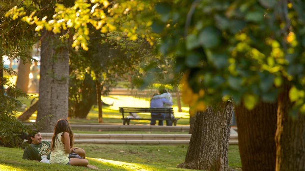 Forest Park showing picnicking and a garden as well as a couple