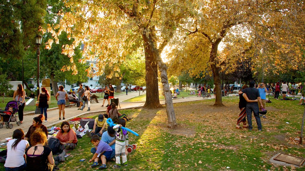 Forest Park showing autumn leaves, picnicking and a city