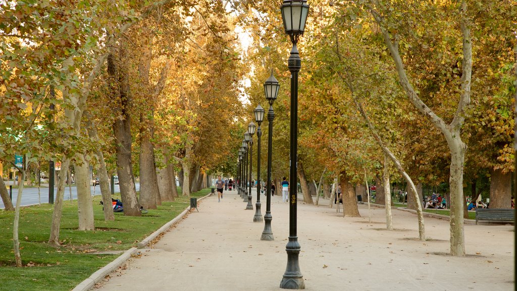 Parc forestier mettant en vedette un jardin, une ville et couleurs d’automne