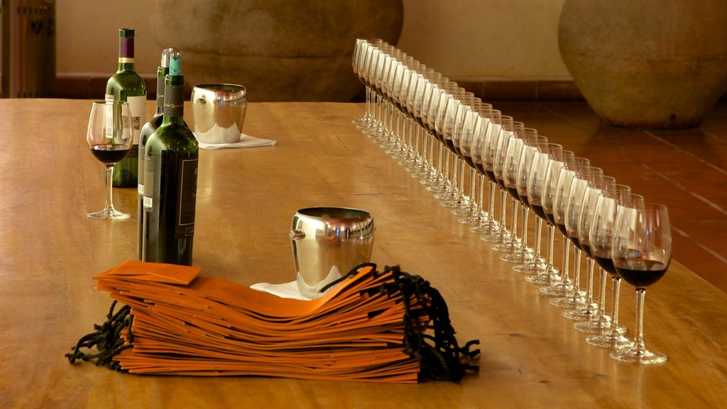 Bodega de vino Concha y Toro mostrando bebidas o tragos y vista interna